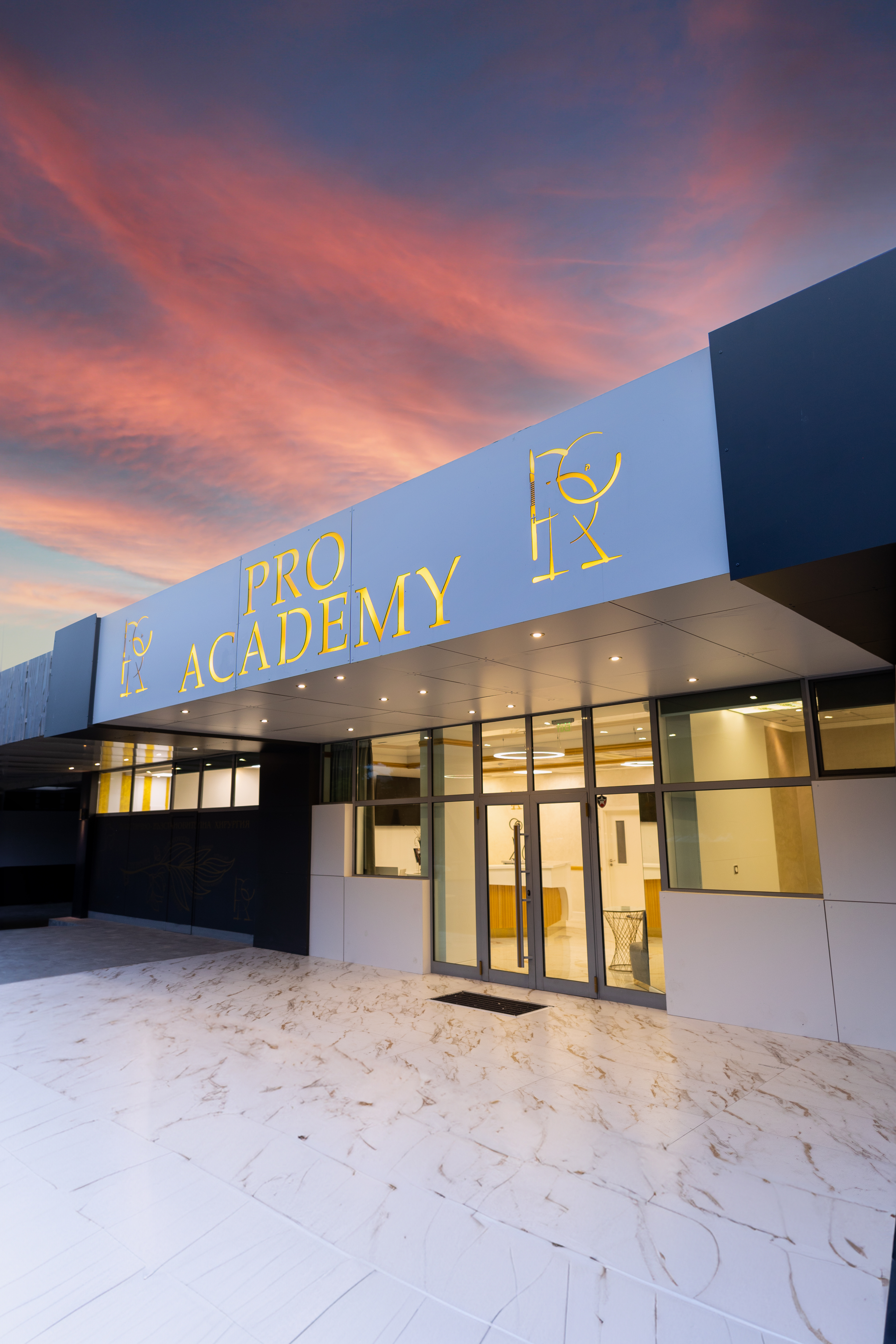 PRO Academy clinic